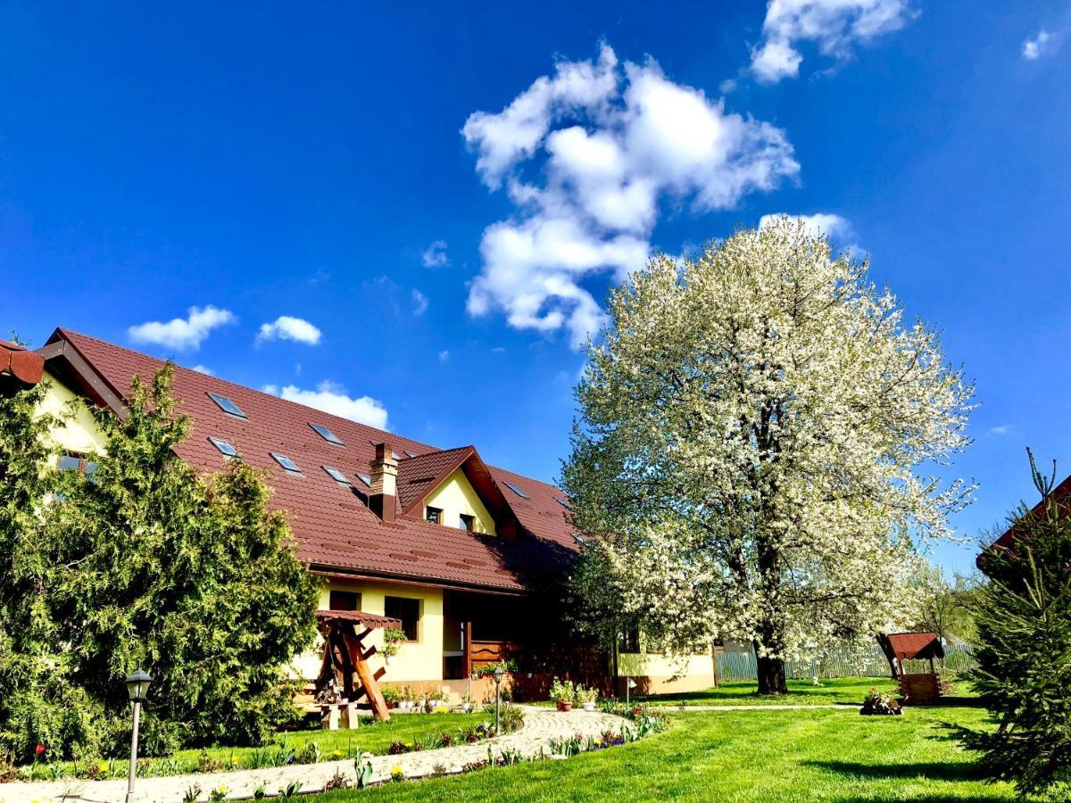 Casa Galbena Bed & Breakfast Arbore Bagian luar foto